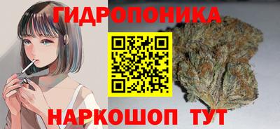 дмт Будённовск