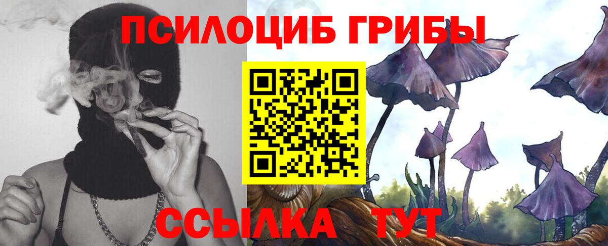 Галлюциногенные грибы Cubensis Углич