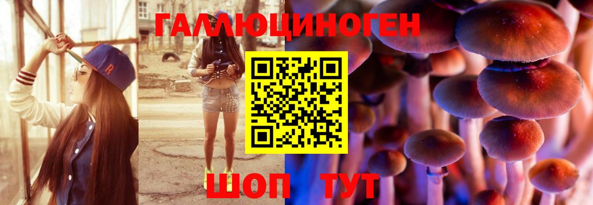 Псилоцибиновые грибы Psilocybe  Вход с VPN  Углич 